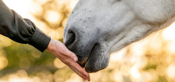 The Power of Liquid Liposomal Supplements