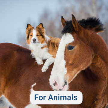 Explore the Superdose Animal Range